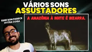 A Floresta Amaz&ocirc;nica &agrave; Noite se Transforma no OCOLAST