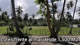 Compra tu lote frente al mar en Las Terrenas