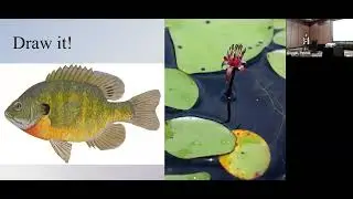Drawing Water Art and Science Collaborations - 2023 WI Lakes & Rivers Convention