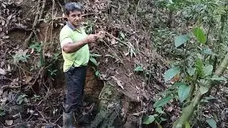GOLD MONSTER CONFIRMA OQUE AS VARETAS MARCARAM