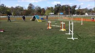 Remus Wins Standard  Staten Island Nov 2, 2014