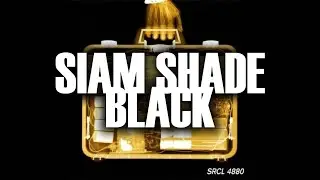 Black - Siam Shade(Karaoke with backing vocals)