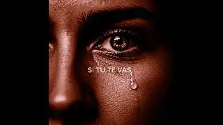SI TU TE VAS (VERSION SALSA)