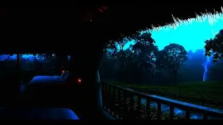 You&rsquo;ll Fall Asleep Fast to This Dark Rain in a Tea Garden Bedroom
