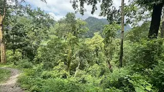 🌿 Prime Land Investment Opportunity &ndash; Jim Corbett, Uttarakhand 🌿