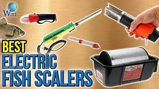 6 Best Electric Fish Scalers 2017