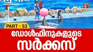 ഡോൾഫിനുകളുടെ സർക്കസ് | SAFARI WORLD BANGKOK | THAILAND VLOG | PART 53 | PASSPORT DIARIES MALAYALAM