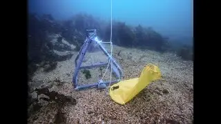 Testing methods to kill sea vomit