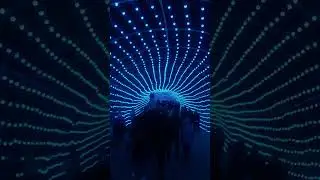 Walking threw busch gardens tampa