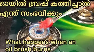 Silicon oil brush | ഓയിൽ ബ്രഷ് കത്തിച്ചാൽ എന്ത് സംഭവിക്കും What happens when an oil brush burns