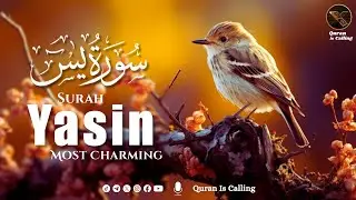 🌙 Surah Yaseen (سورة يس) | The Heart of the Quran | Calm & Soul Healing Recitation