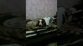 VID 20171125 213326