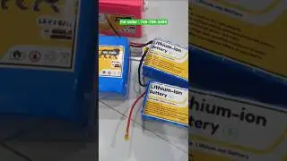customiselithium ion and phosphate battery in different shape and size
