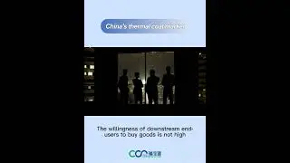 【YIMEI DAILY REPORT】China's Thermal Coal Market 240619