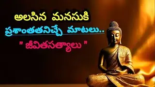 Buddha Motivational quotes on life/Telugumotivationalvideos#shorts#motivation#facts#inspiration#love