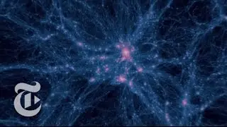 The Shadow Universe Revealed | Out There | The New York Times
