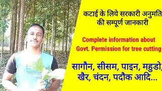 Government permission for tree cutting - complete information in hindi