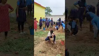 kitchen Garden made by students .(c.g)