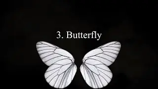 Encoded Creature - Butterfly (Official Lyrics)