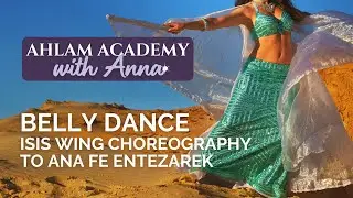 Belly Dance Wings Lesson from Master Class