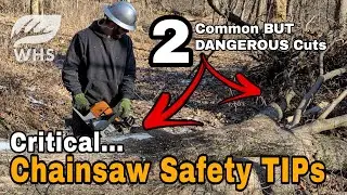 Deer Habitat Chainsaw Safety Tips