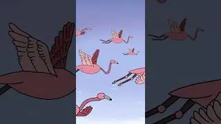 David Attenborough discovers a new breed of Flamingo - Comedy Animation #funny #animation #british