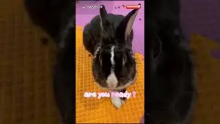 I'm telling you a secret❤️❤️