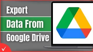 How to Export Data From Google Drive (Full Guide)