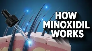 How Minoxidil Really Works (The Science Explained)