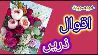 Informative Important Quotes For You|By Urdu Point Series|