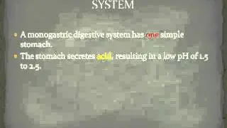 Monogastric Vs Ruminant digestion - Part 1
