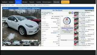 Cars from Copart USA  Full Auction Review | 289