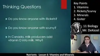Lesson 6 Updated Version -  Vitamins and Minerals  - Nutrients