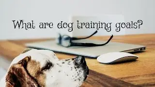 What are Your Dog Training Goals?