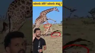 Survival of the fittest explained in kannada #kannada #bigcats #animals #shorts #wildlife