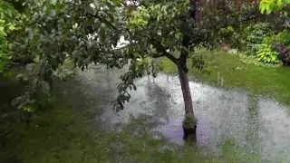 Rain storm. July 8, 2013