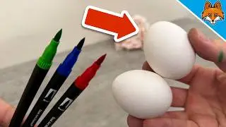 Japanskt &auml;ggm&aring;lningsknep som (tyv&auml;rr) INGEN k&auml;nner till🤯💥