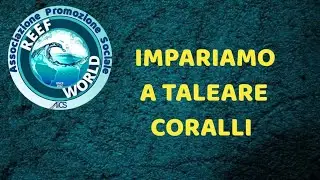 Impariamo a taleare i coralli con Reef World