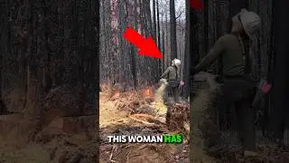 Ultimate Tree Fall ASMR