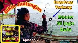 🔴Terbaru || Bikin Jantungan 😯 Gada yang Tau ternyata Di sini Sarang Babon‼️ # Episode 286 