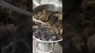 Scouring raw wool