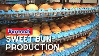 3000 PIECES PER HOUR Sweet Bun Production by Vesmach