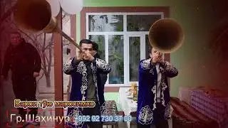 ГР ШАХИНУР Пунук
