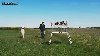 ОБУЧЕНИЕ ГОЛУБЕЙ 2025