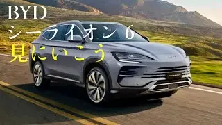 byd シーライオン 6見に行こう