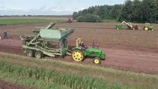 Oldtimer aardappelrooi demo / Potato Harvest / grimme, sterbo, climax