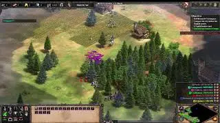 AOE2DE - Grand Dukes - Stage 3