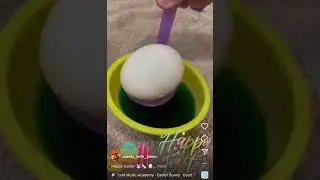 Happy Easter #shorts #youtubeshorts #happy #easter #dye #eggs #time #colors #paas #funtime #babe
