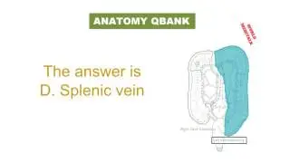 MRCS (PART A )ANATOMY Q BANK 12