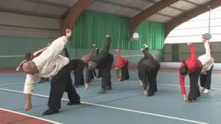Stage de forme ancienne à Saint Jean de Monts avec Thierry Alibert self defense art martial chinois